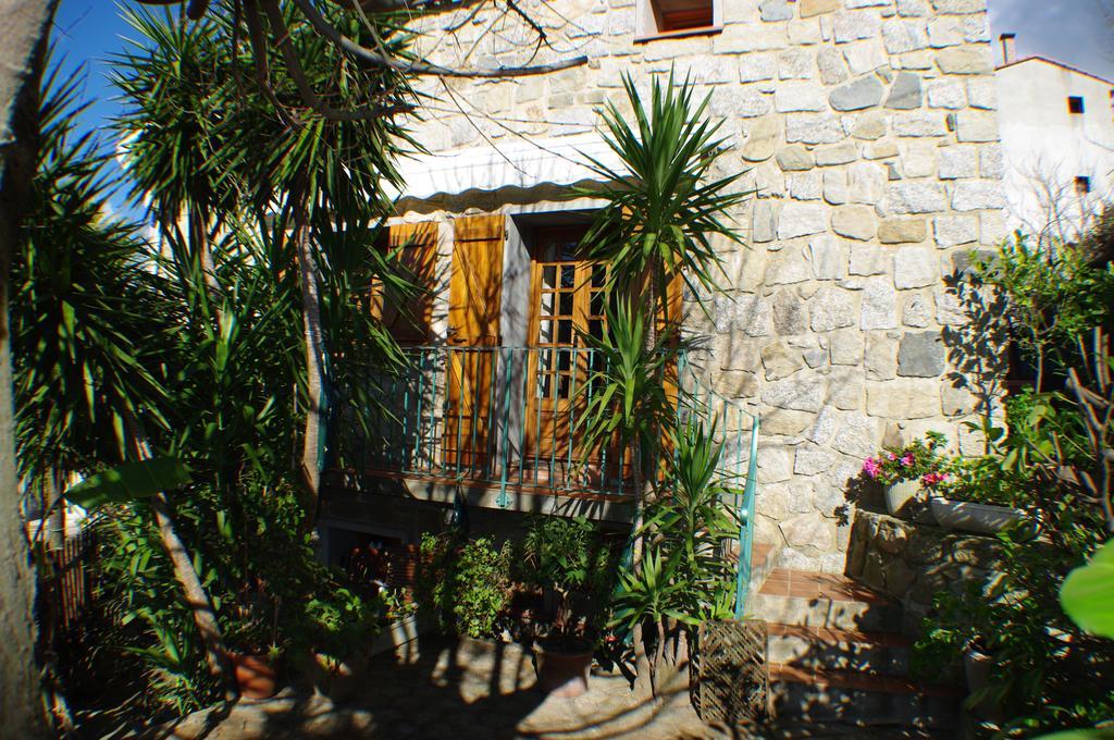 GITE , Maison de vacances avec extérieur et terrasse fleurie Santa-Lucia-di-Tallano Extérieur photo
