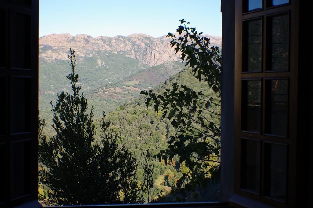 GITE , Maison de vacances avec extérieur et terrasse fleurie Santa-Lucia-di-Tallano Extérieur photo