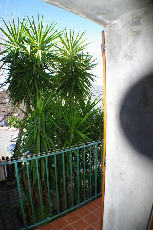 GITE , Maison de vacances avec extérieur et terrasse fleurie Santa-Lucia-di-Tallano Extérieur photo